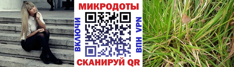 Галлюциногенные грибы GOLDEN TEACHER  как найти закладки  Новотроицк 
