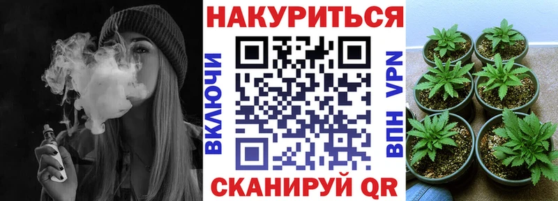 Бошки Шишки гибрид Новотроицк